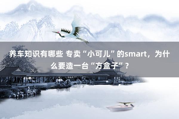 养车知识有哪些 专卖“小可儿”的smart，为什么要造一台“方盒子”？