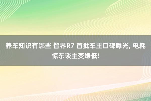 养车知识有哪些 智界R7 首批车主口碑曝光, 电耗惊东谈主变嫌低!