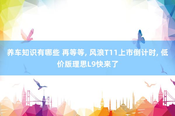 养车知识有哪些 再等等, 风浪T11上市倒计时, 低价版理思L9快来了