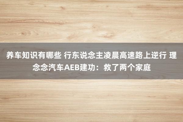 养车知识有哪些 行东说念主凌晨高速路上逆行 理念念汽车AEB建功：救了两个家庭