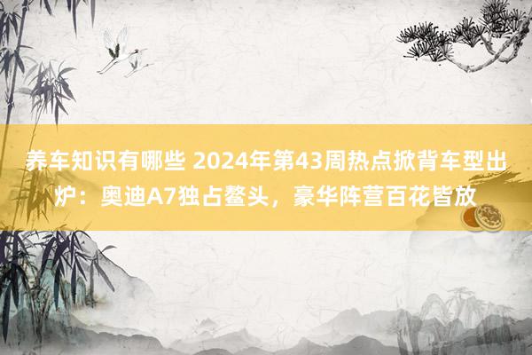 养车知识有哪些 2024年第43周热点掀背车型出炉：奥迪A7独占鳌头，豪华阵营百花皆放