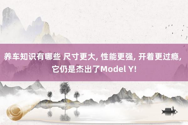 养车知识有哪些 尺寸更大, 性能更强, 开着更过瘾, 它仍是杰出了Model Y!