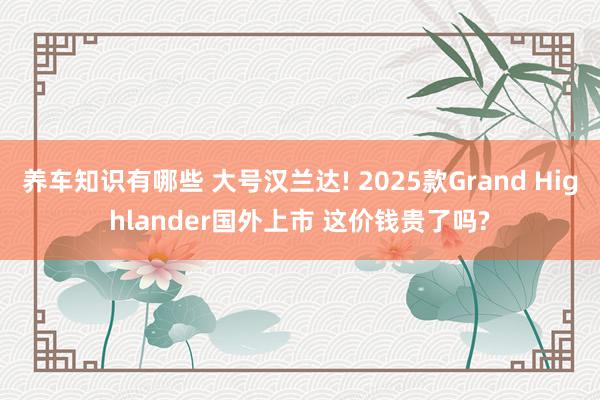 养车知识有哪些 大号汉兰达! 2025款Grand Highlander国外上市 这价钱贵了吗?