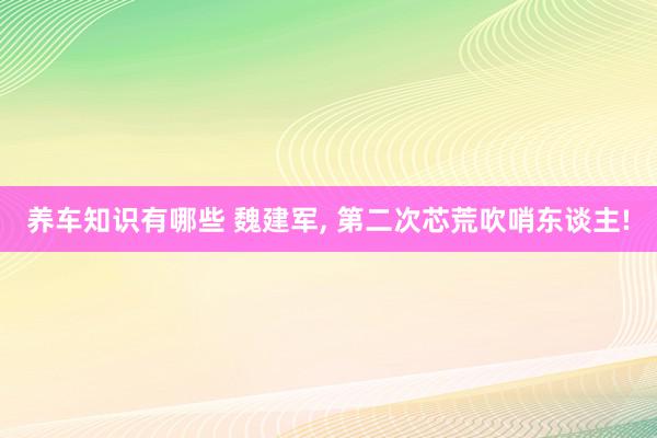 养车知识有哪些 魏建军, 第二次芯荒吹哨东谈主!