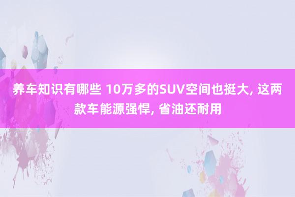 养车知识有哪些 10万多的SUV空间也挺大, 这两款车能源强悍, 省油还耐用