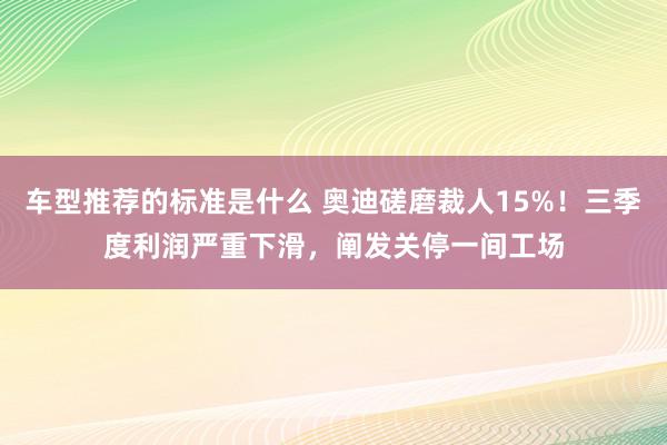 车型推荐的标准是什么 奥迪磋磨裁人15%！三季度利润严重下滑，阐发关停一间工场