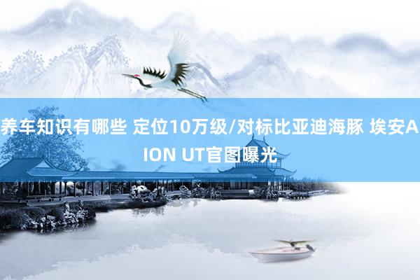 养车知识有哪些 定位10万级/对标比亚迪海豚 埃安AION UT官图曝光