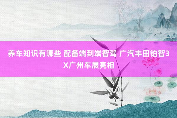 养车知识有哪些 配备端到端智驾 广汽丰田铂智3X广州车展亮相