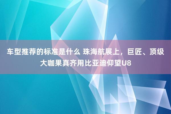 车型推荐的标准是什么 珠海航展上，巨匠、顶级大咖果真齐用比亚迪仰望U8