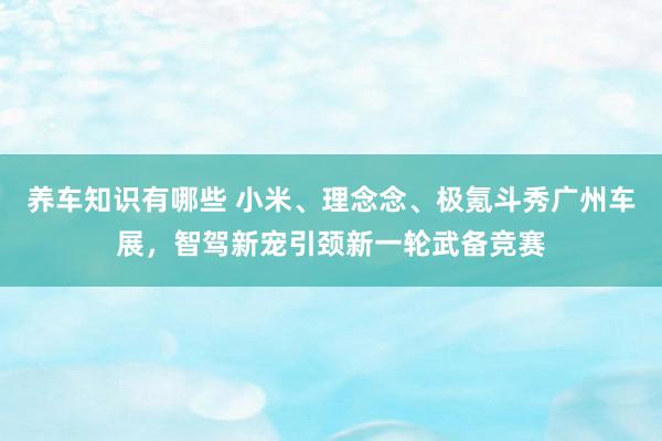 养车知识有哪些 小米、理念念、极氪斗秀广州车展，智驾新宠引颈新一轮武备竞赛