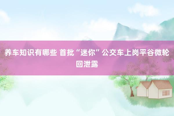 养车知识有哪些 首批“迷你”公交车上岗平谷微轮回泄露