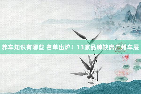 养车知识有哪些 名单出炉！13家品牌缺席广州车展