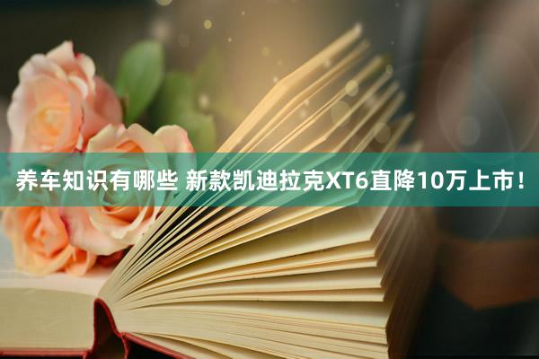 养车知识有哪些 新款凯迪拉克XT6直降10万上市！