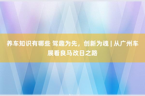 养车知识有哪些 驾趣为先，创新为魂 | 从广州车展看良马改日之路