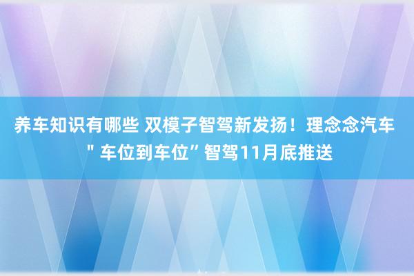 养车知识有哪些 双模子智驾新发扬！理念念汽车 ＂车位到车位”智驾11月底推送