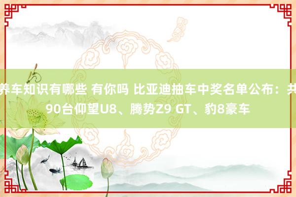 养车知识有哪些 有你吗 比亚迪抽车中奖名单公布：共90台仰望U8、腾势Z9 GT、豹8豪车