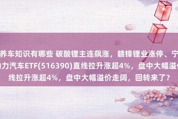 养车知识有哪些 碳酸锂主连飙涨，赣锋锂业涨停、宁德时间涨3%，新动力汽车ETF(516390)直线拉升涨超4%，盘中大幅溢价走阔，回转来了？