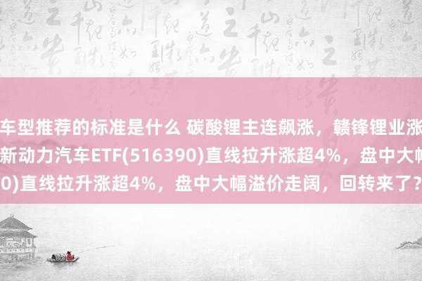 车型推荐的标准是什么 碳酸锂主连飙涨，赣锋锂业涨停、宁德时期涨3%，新动力汽车ETF(516390)直线拉升涨超4%，盘中大幅溢价走阔，回转来了？