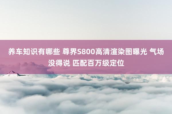 养车知识有哪些 尊界S800高清渲染图曝光 气场没得说 匹配百万级定位