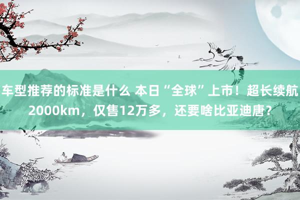 车型推荐的标准是什么 本日“全球”上市！超长续航2000km，仅售12万多，还要啥比亚迪唐？