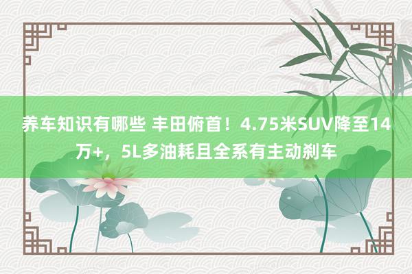 养车知识有哪些 丰田俯首！4.75米SUV降至14万+，5L多油耗且全系有主动刹车