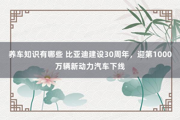 养车知识有哪些 比亚迪建设30周年，迎第1000万辆新动力汽车下线