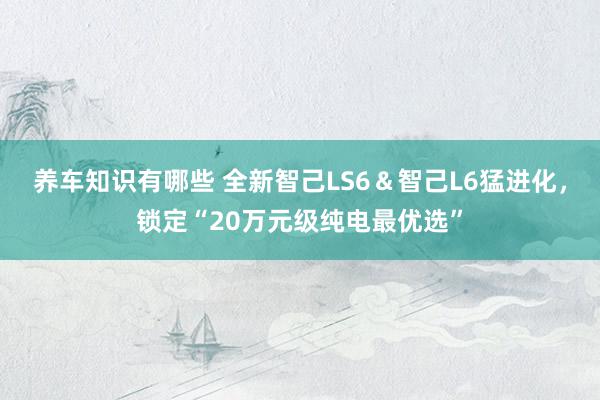 养车知识有哪些 全新智己LS6＆智己L6猛进化，锁定“20万元级纯电最优选”