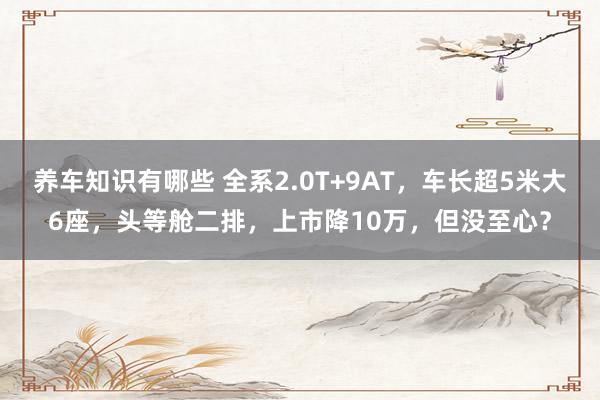 养车知识有哪些 全系2.0T+9AT，车长超5米大6座，头等舱二排，上市降10万，但没至心？