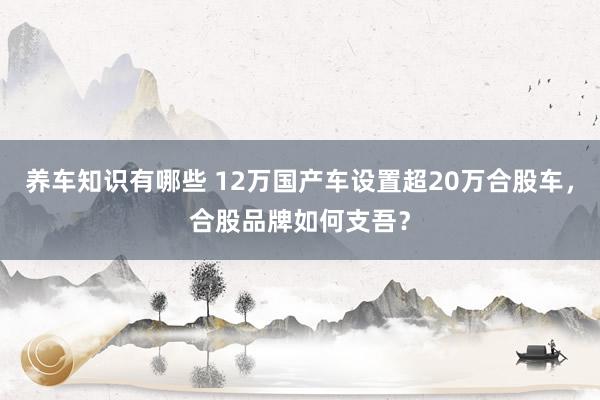 养车知识有哪些 12万国产车设置超20万合股车，合股品牌如何支吾？