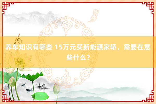 养车知识有哪些 15万元买新能源家轿，需要在意些什么？