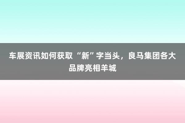 车展资讯如何获取 “新”字当头，良马集团各大品牌亮相羊城