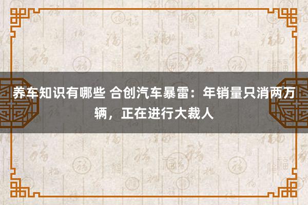 养车知识有哪些 合创汽车暴雷：年销量只消两万辆，正在进行大裁人