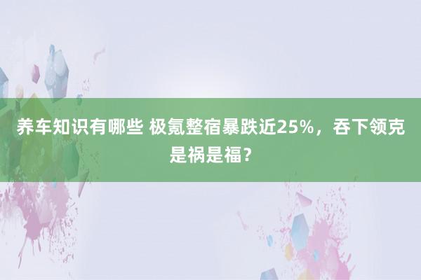 养车知识有哪些 极氪整宿暴跌近25%，吞下领克是祸是福？