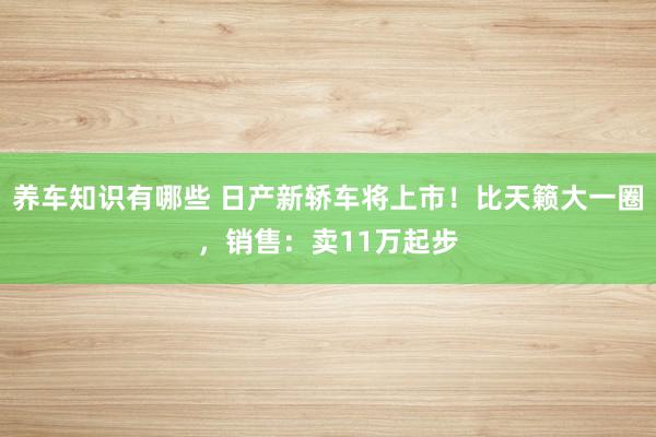 养车知识有哪些 日产新轿车将上市！比天籁大一圈，销售：卖11万起步