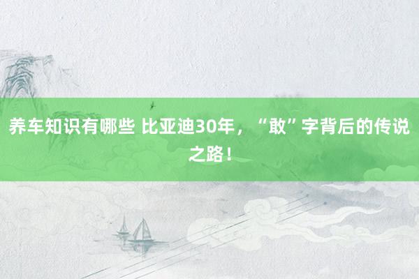 养车知识有哪些 比亚迪30年，“敢”字背后的传说之路！