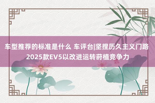 车型推荐的标准是什么 车评台|坚捏历久主义门路 2025款EV5以改进运转莳植竞争力