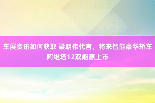 车展资讯如何获取 梁朝伟代言，将来智能豪华轿车阿维塔12双能源上市