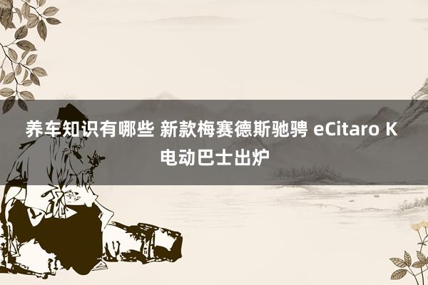 养车知识有哪些 新款梅赛德斯驰骋 eCitaro K 电动巴士出炉