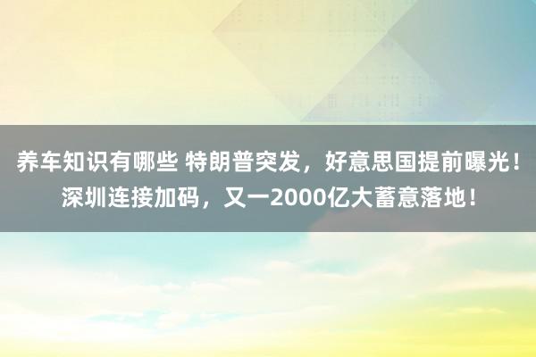 养车知识有哪些 特朗普突发，好意思国提前曝光！深圳连接加码，又一2000亿大蓄意落地！