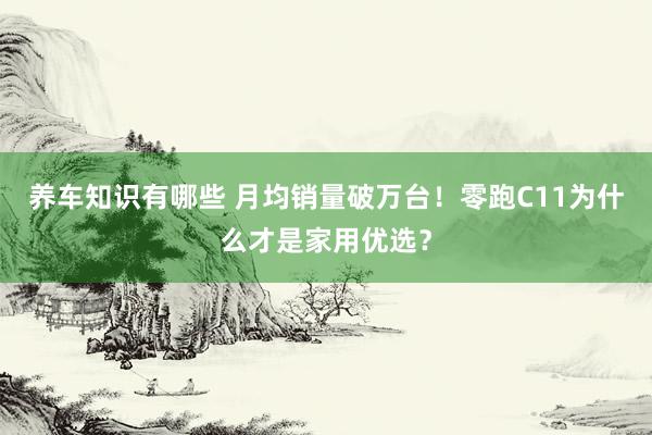 养车知识有哪些 月均销量破万台！零跑C11为什么才是家用优选？