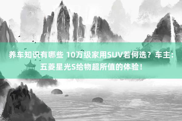 养车知识有哪些 10万级家用SUV若何选？车主：五菱星光S给物超所值的体验！