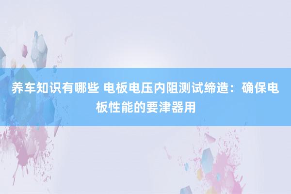 养车知识有哪些 电板电压内阻测试缔造：确保电板性能的要津器用