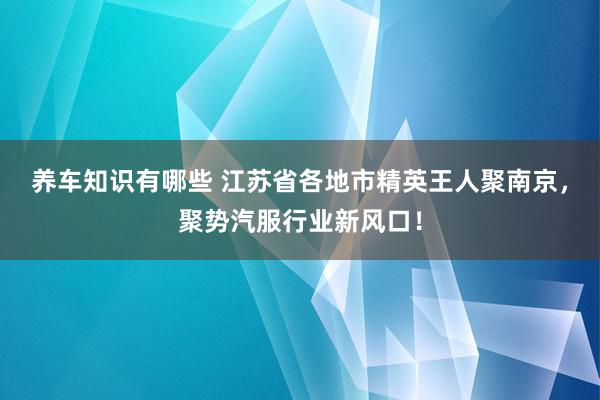 养车知识有哪些 江苏省各地市精英王人聚南京，聚势汽服行业新风口！