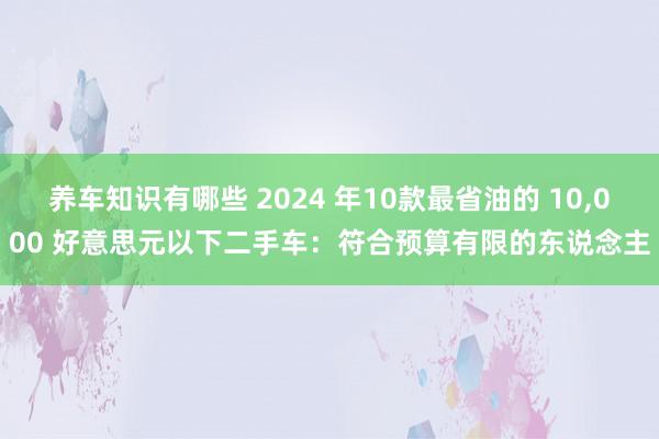 养车知识有哪些 2024 年10款最省油的 10,000 好意思元以下二手车：符合预算有限的东说念主