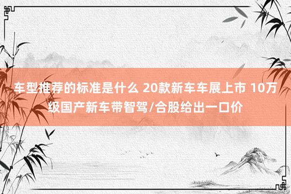 车型推荐的标准是什么 20款新车车展上市 10万级国产新车带智驾/合股给出一口价