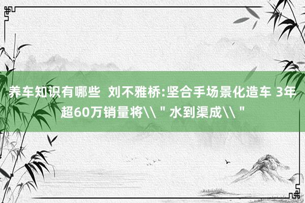 养车知识有哪些  刘不雅桥:坚合手场景化造车 3年超60万销量将\＂水到渠成\＂