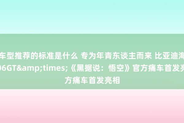 车型推荐的标准是什么 专为年青东谈主而来 比亚迪海豹06GT&times;《黑据说：悟空》官方痛车首发亮相