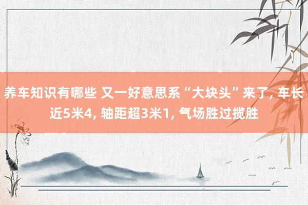 养车知识有哪些 又一好意思系“大块头”来了, 车长近5米4, 轴距超3米1, 气场胜过揽胜