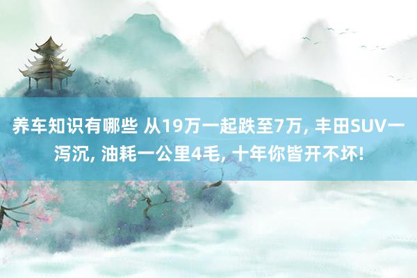 养车知识有哪些 从19万一起跌至7万, 丰田SUV一泻沉, 油耗一公里4毛, 十年你皆开不坏!