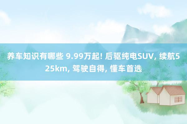 养车知识有哪些 9.99万起! 后驱纯电SUV, 续航525km, 驾驶自得, 懂车首选